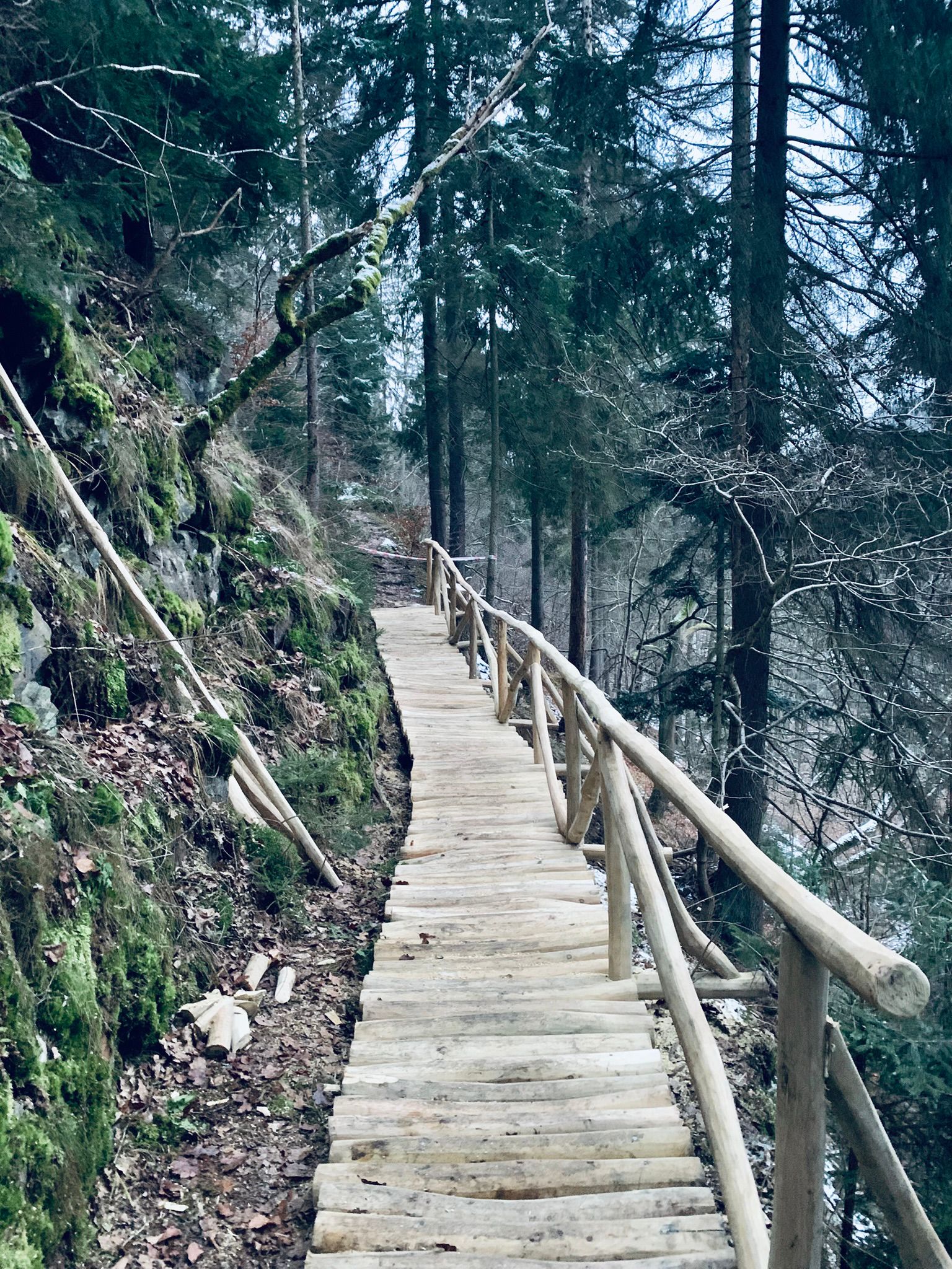 Dřevostavby a exteriér